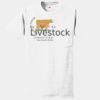 Authentic 100% Cotton T Shirt with Pocket Thumbnail